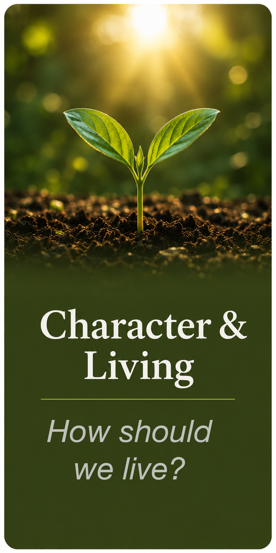4n-Character.webp